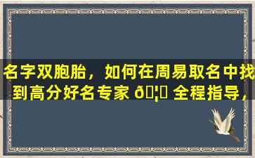 名字双胞胎，如何在周易取名中找到高分好名专家 🦍 全程指导，为你揭 🌲 秘！